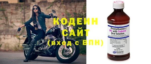 шишки Медвежьегорск