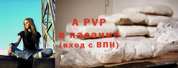 шишки Медвежьегорск