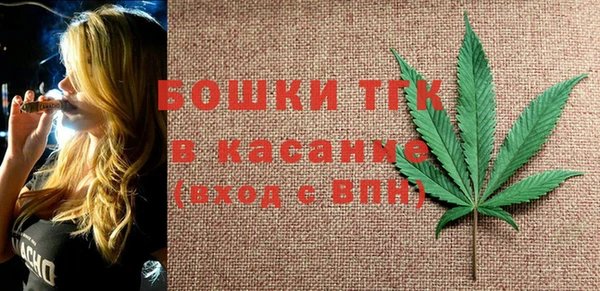 шишки Медвежьегорск