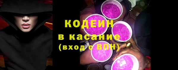 шишки Медвежьегорск