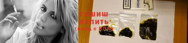 шишки Медвежьегорск