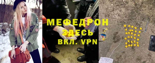 шишки Медвежьегорск