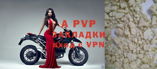 шишки Медвежьегорск