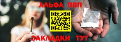 гидра Новозыбков